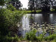 Jezioro rybne w Secyminie